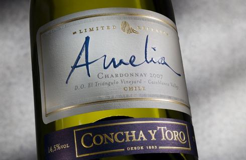 Degustação de vinhos chilenos