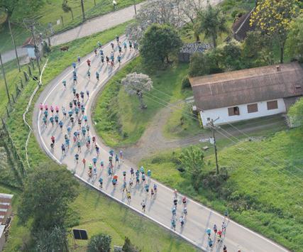 Vale dos vinhedos: cenário de corrida