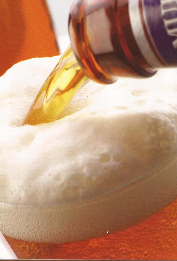 Guia para amantes de cerveja
