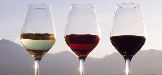 Bons conhecedores de vinho