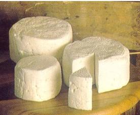 Queijo: mitos do alimento milenar