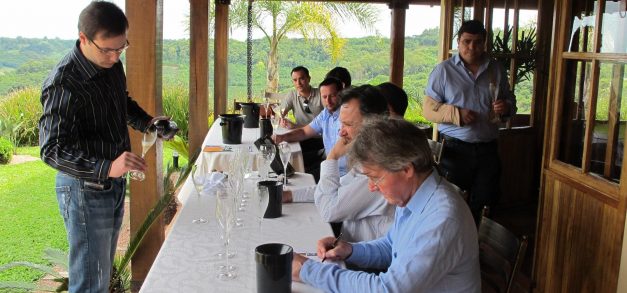 Qualidade dos vinhos brasileiros