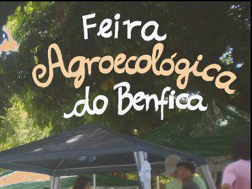Feira Agroecológica do Benfica