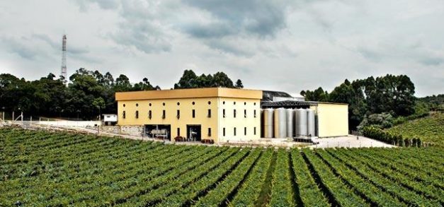 Nova safra da Perini