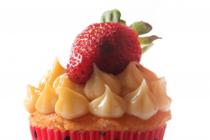 Sweet Katte, nova loja de cupcakes