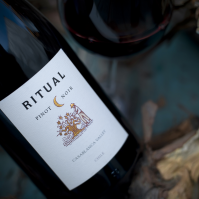 Vinhos exclusivos no mercado