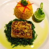 Brasil meu Brasileiro