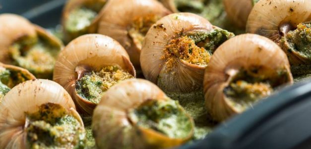 18ª edição do Festival do Escargot da Taíba começa hoje