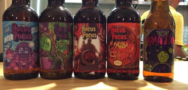 Owl Beer Pub traz variedade de cervejas artesanais, música e petiscos