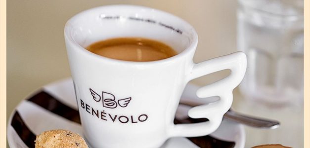 Benévolo Café e Gelato promove ação beneficente em prol dos animais