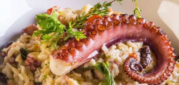 La Pasta Gialla oferece festival com menu promocional de jantar completo