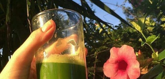 Detox e plantas medicinais em chás e sucos