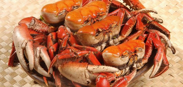 Quatro locais para comer caranguejo fora da praia