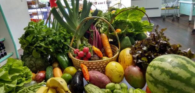 Mercadinhos São Luiz realizam semana vegana