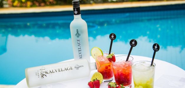 Vodka: você sabe como conservar a sua depois de aberta?