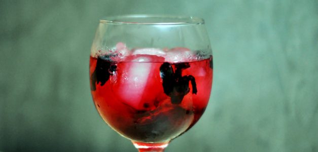 Zé Restô Bar realiza Gin Lovers Day às quartas-feiras