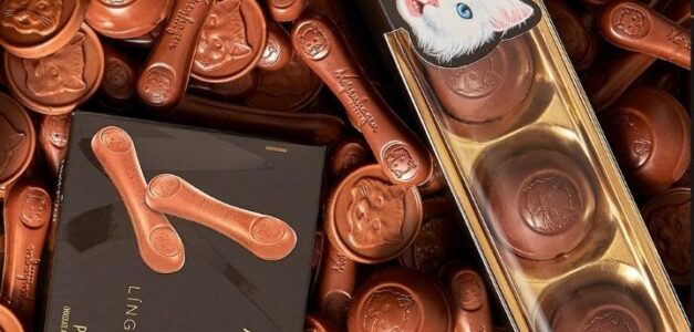 Kopenhagen apresenta novidades para o Dia das Mães